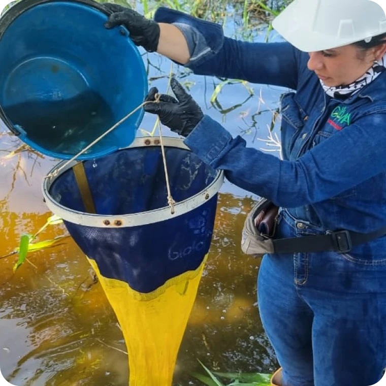 Monitoreo de hidrobiológicos en aguas continentales y marinas